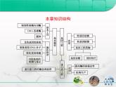 人教版 (新課標(biāo))高中生物選修3 專題1《基因工程》專題復(fù)習(xí)課件