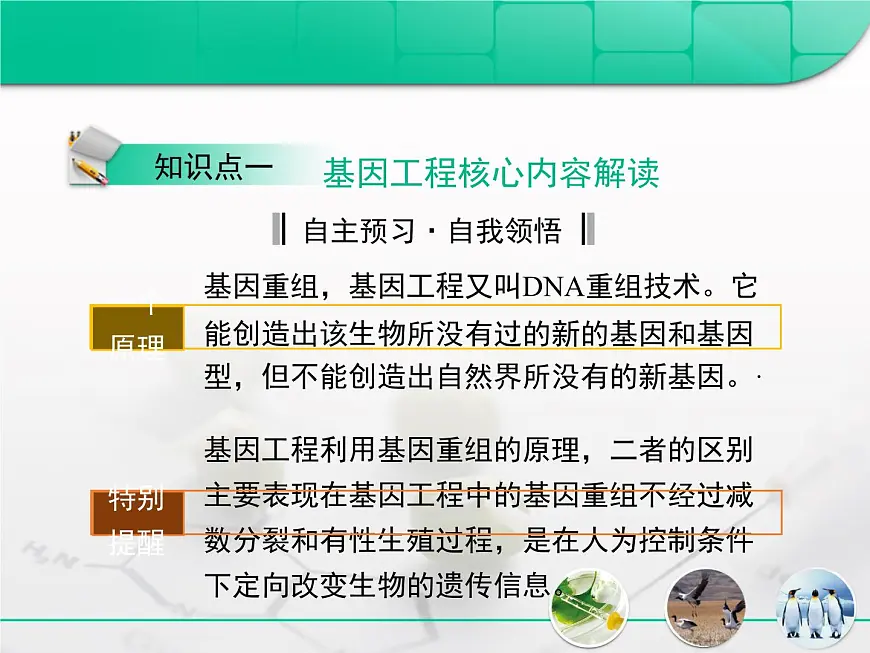 人教版 (新课标)高中生物选修3 专题1《基因工程》专题复习课件第3页