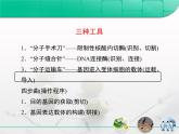 人教版 (新課標(biāo))高中生物選修3 專題1《基因工程》專題復(fù)習(xí)課件