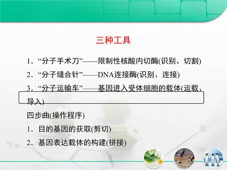 人教版 (新课标)高中生物选修3 专题1《基因工程》专题复习课件第5页