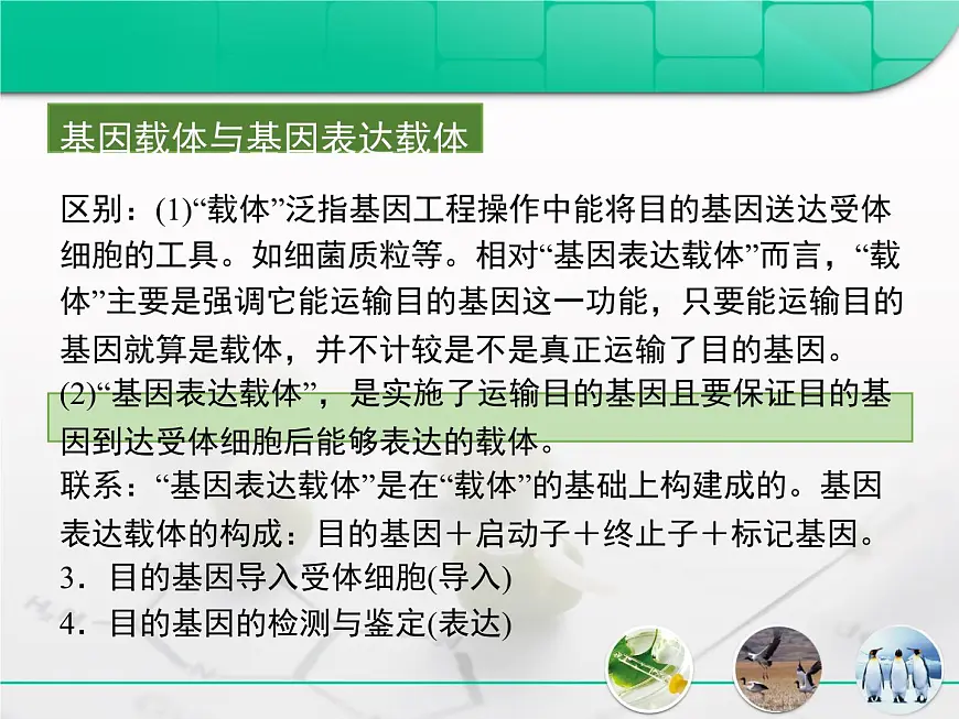 人教版 (新课标)高中生物选修3 专题1《基因工程》专题复习课件第6页