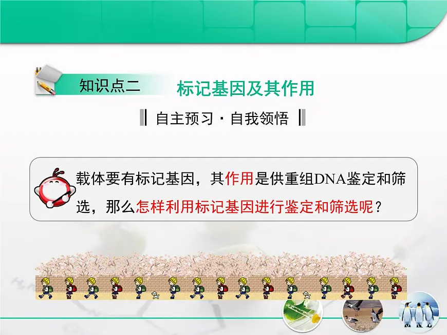 人教版 (新课标)高中生物选修3 专题1《基因工程》专题复习课件第7页