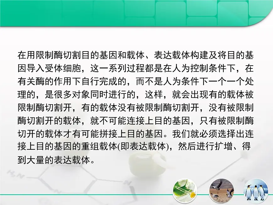 人教版 (新课标)高中生物选修3 专题1《基因工程》专题复习课件第8页