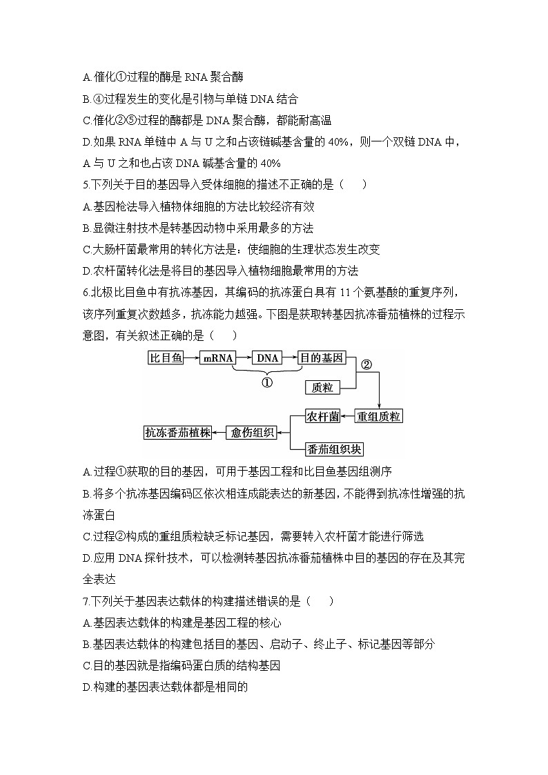 人教版 (新课标)高中生物选修3 专题1《基因工程》专题考点集训卷 无答案第2页