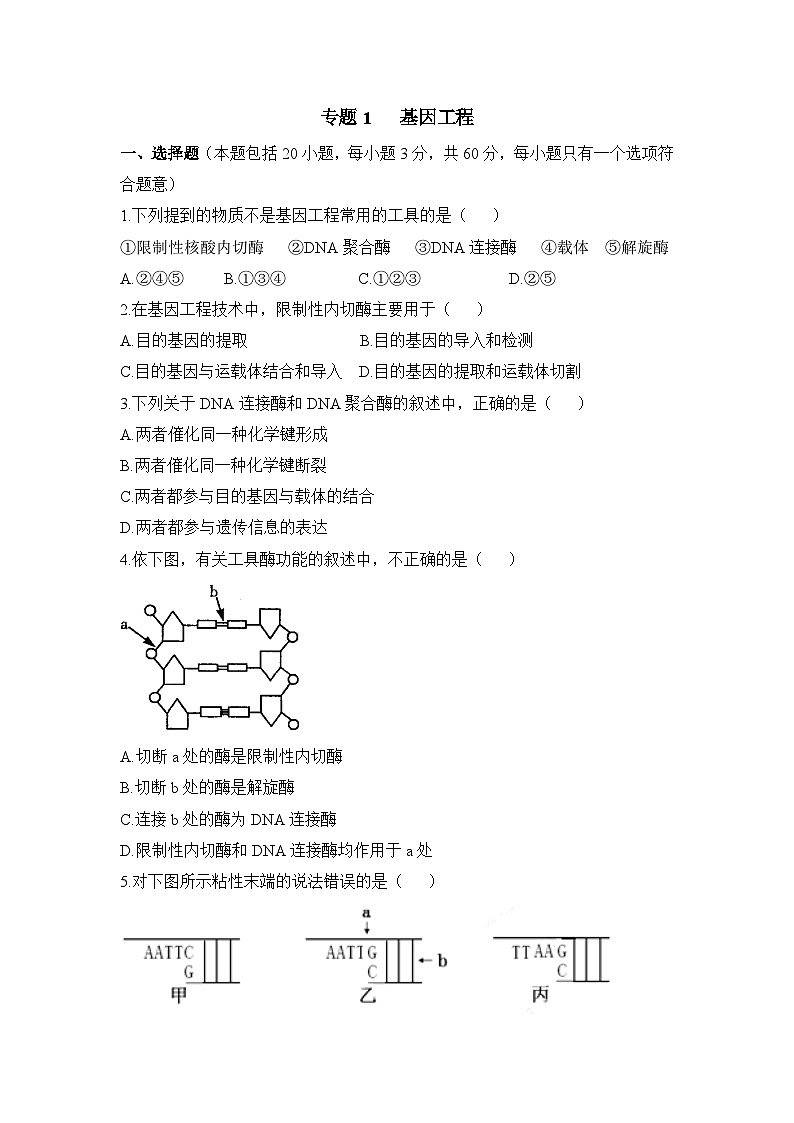 人教版 (新课标)高中生物选修3 专题1《基因工程》专题通关套卷（一）无答案第1页