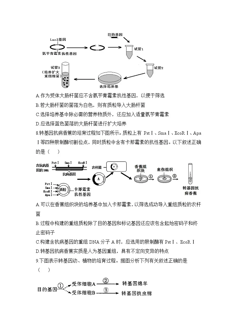 人教版 (新课标)高中生物选修3 专题1《基因工程》专题通关套卷（二）无答案第3页