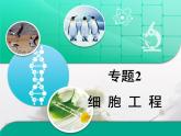 人教版 (新課標(biāo))高中生物選修3 專題2《細(xì)胞工程》專題復(fù)習(xí)課件