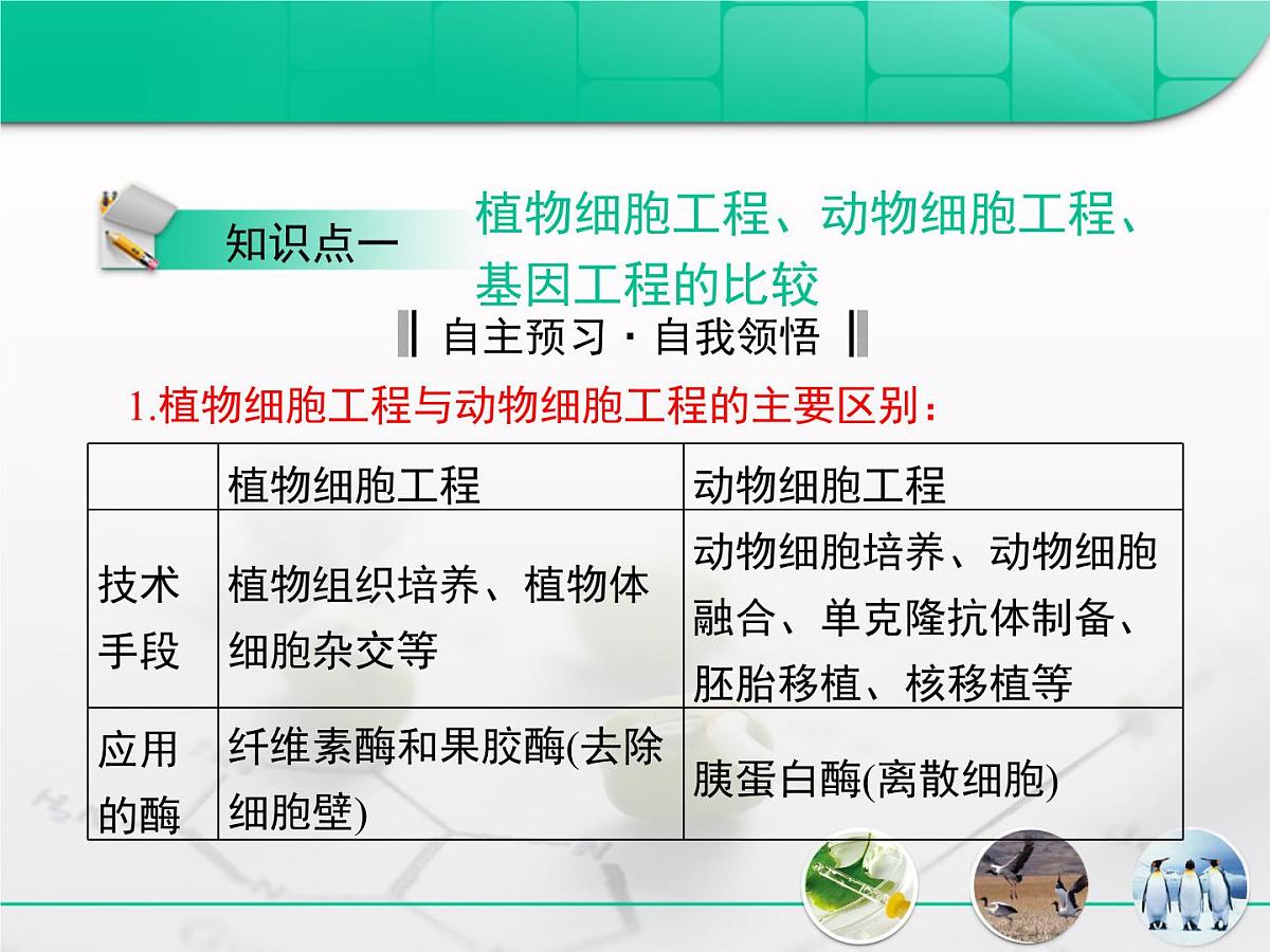 人教版 (新课标)高中生物选修3 专题2《细胞工程》专题复习课件第3页