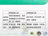 人教版 (新課標(biāo))高中生物選修3 專題2《細(xì)胞工程》專題復(fù)習(xí)課件