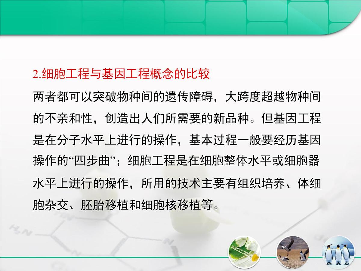 人教版 (新课标)高中生物选修3 专题2《细胞工程》专题复习课件第5页