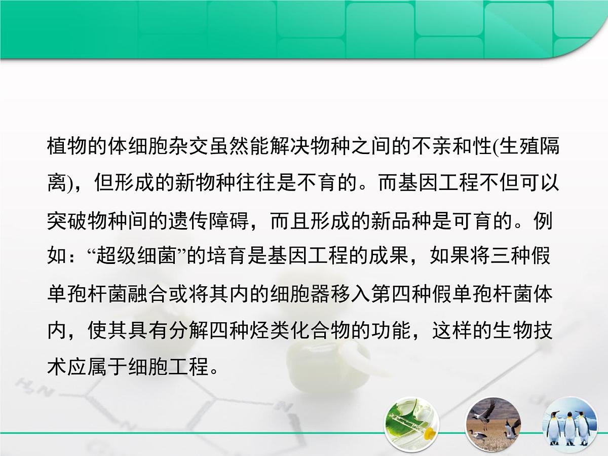 人教版 (新课标)高中生物选修3 专题2《细胞工程》专题复习课件第6页