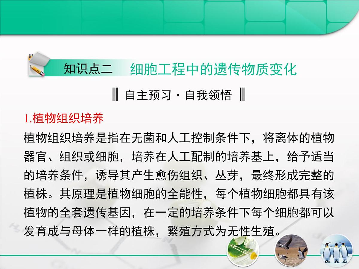 人教版 (新课标)高中生物选修3 专题2《细胞工程》专题复习课件第7页