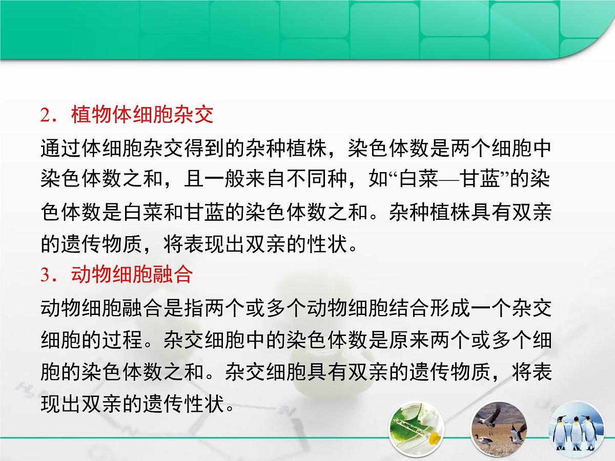 人教版 (新课标)高中生物选修3 专题2《细胞工程》专题复习课件第8页