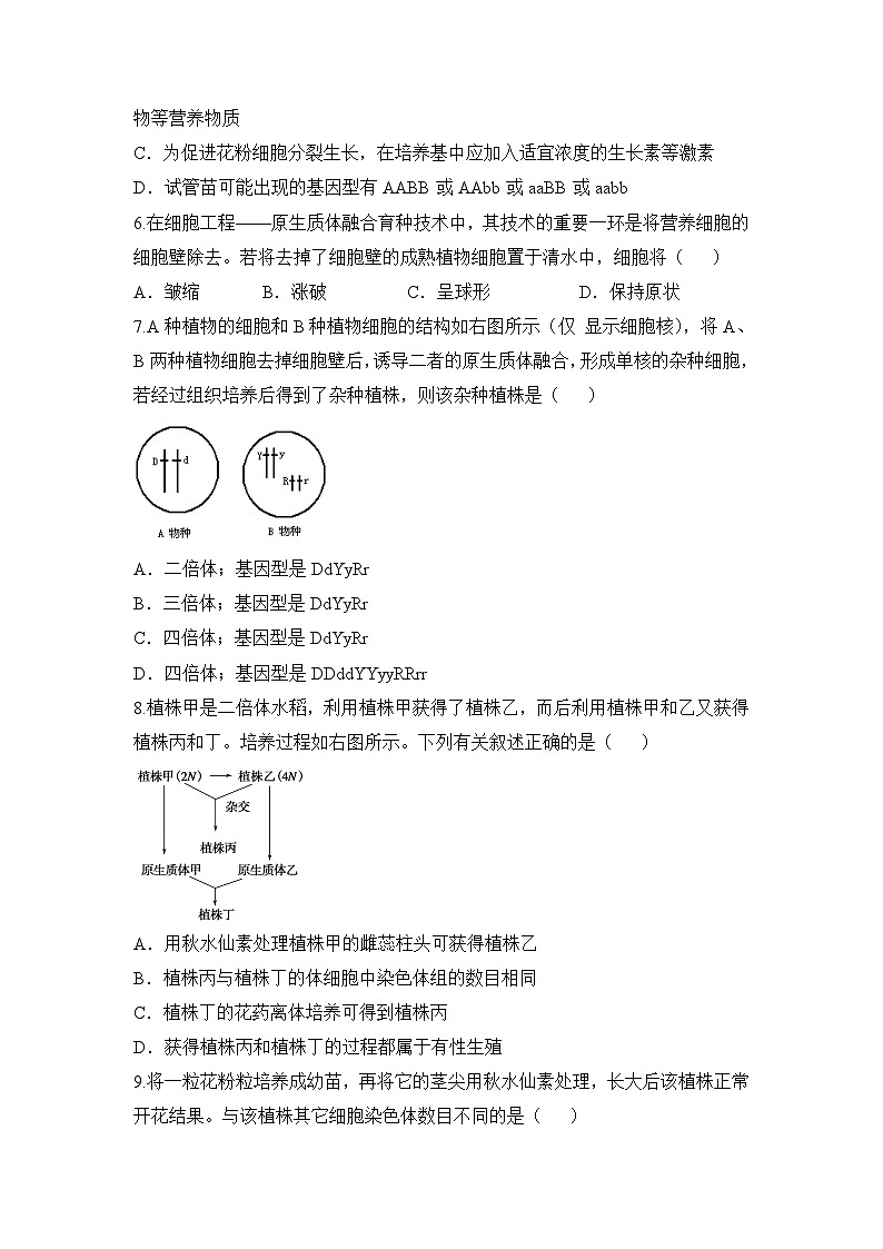 人教版 (新课标)高中生物选修3 专题2《细胞工程》专题通关套卷（二）无答案第2页