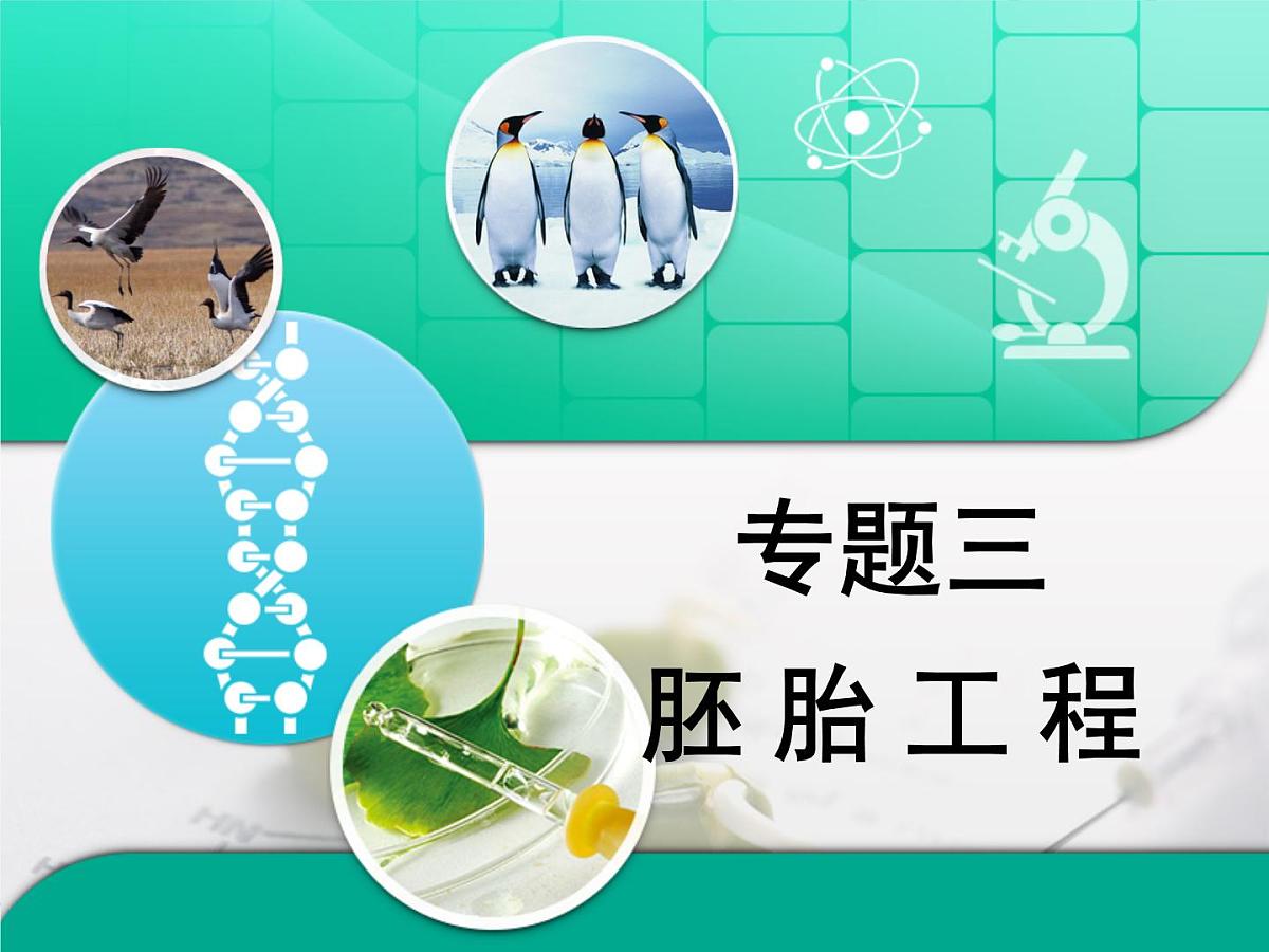 人教版 (新课标)高中生物选修3 3-3.3《胚胎工程》专题复习课件第1页