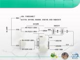 人教版 (新課標(biāo))高中生物選修3 3-3.3《胚胎工程》專題復(fù)習(xí)課件
