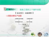 人教版 (新課標(biāo))高中生物選修3 3-3.3《胚胎工程》專題復(fù)習(xí)課件
