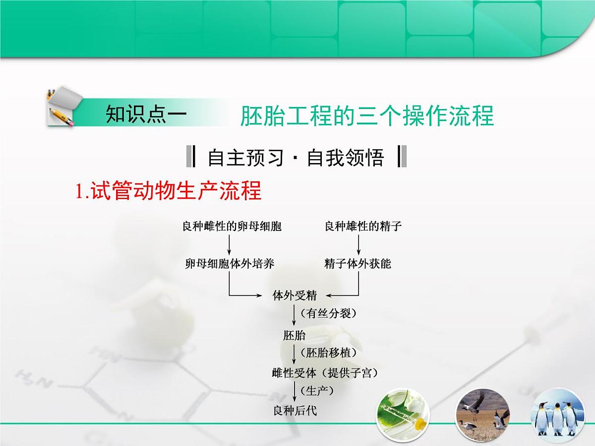 人教版 (新课标)高中生物选修3 3-3.3《胚胎工程》专题复习课件第3页