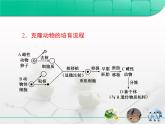 人教版 (新課標(biāo))高中生物選修3 3-3.3《胚胎工程》專題復(fù)習(xí)課件
