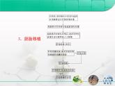 人教版 (新課標(biāo))高中生物選修3 3-3.3《胚胎工程》專題復(fù)習(xí)課件