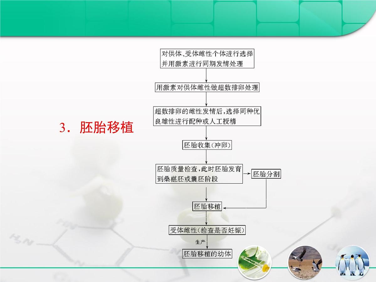 人教版 (新课标)高中生物选修3 3-3.3《胚胎工程》专题复习课件第5页
