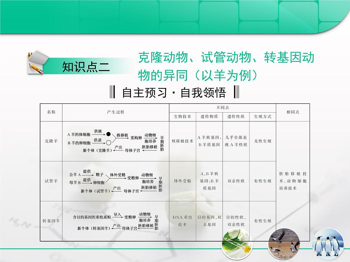 人教版 (新课标)高中生物选修3 3-3.3《胚胎工程》专题复习课件第7页