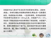 人教版 (新課標(biāo))高中生物選修3 專題5《生態(tài)工程》專題復(fù)習(xí)課件