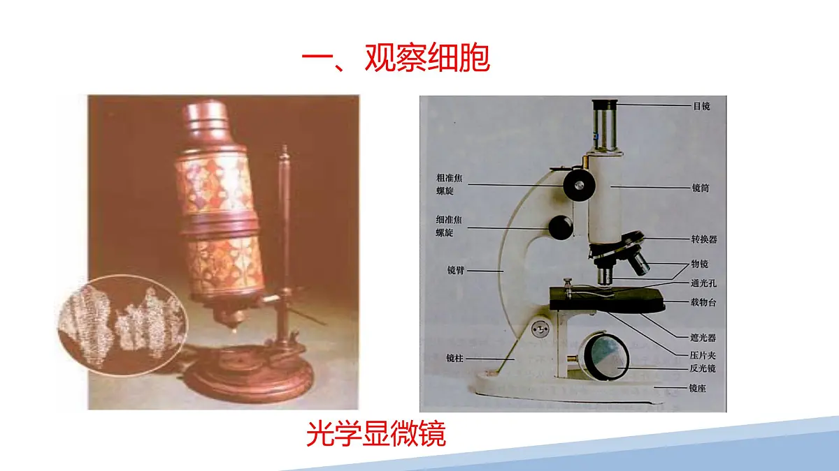 人教版高中生物必修1 1-2《 细胞的多样性和统一性 》课件第3页