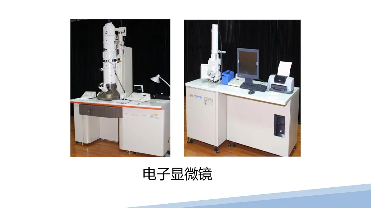 人教版高中生物必修1 1-2《 细胞的多样性和统一性 》课件第4页