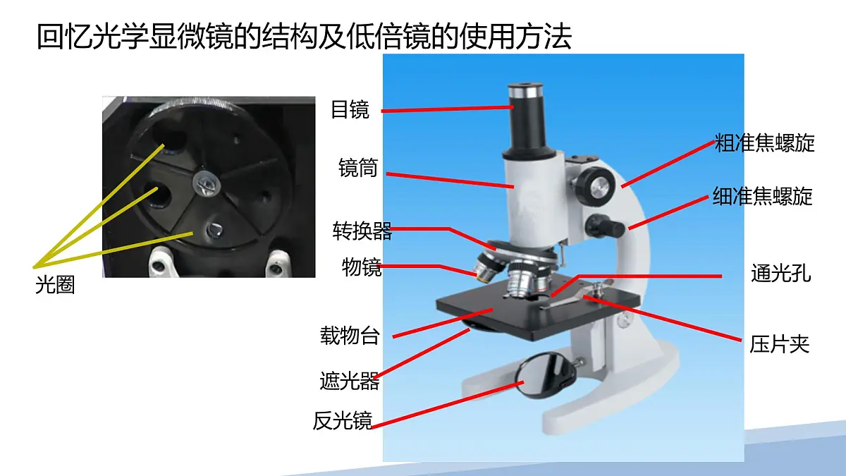 人教版高中生物必修1 1-2《 细胞的多样性和统一性 》课件第5页