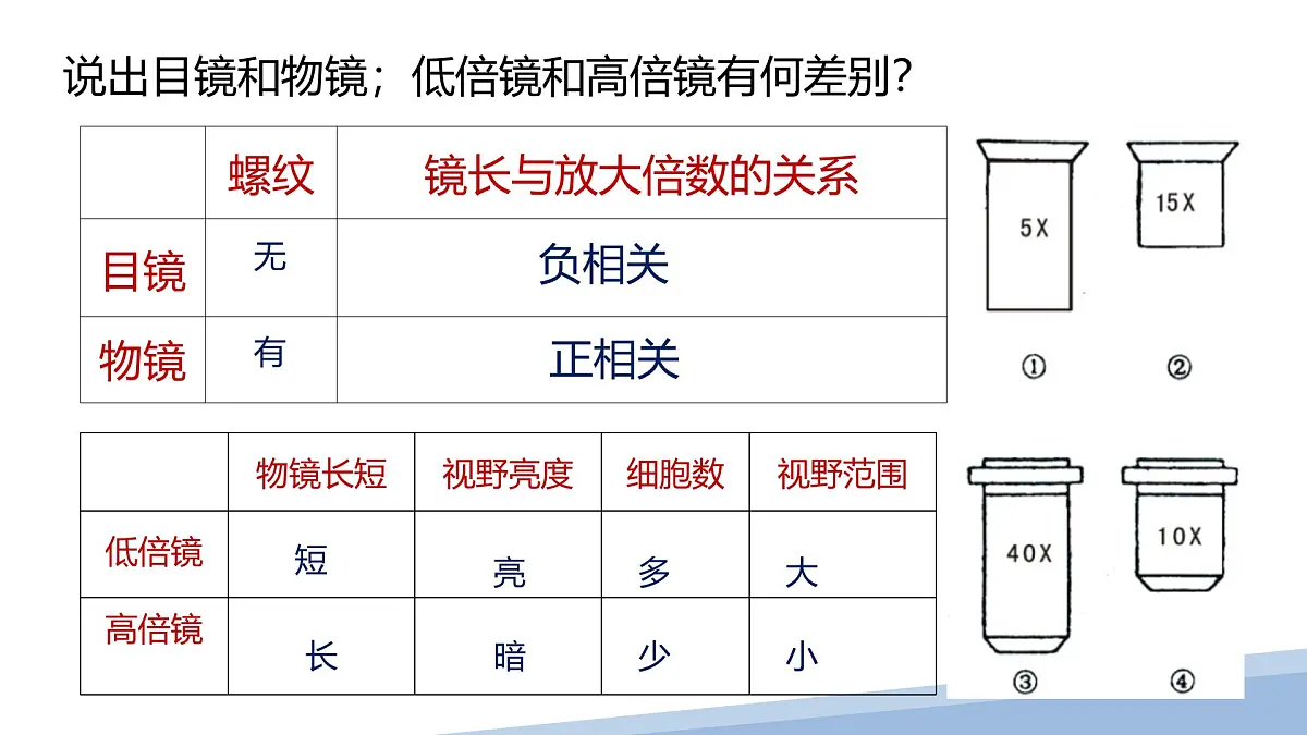 人教版高中生物必修1 1-2《 细胞的多样性和统一性 》课件第6页