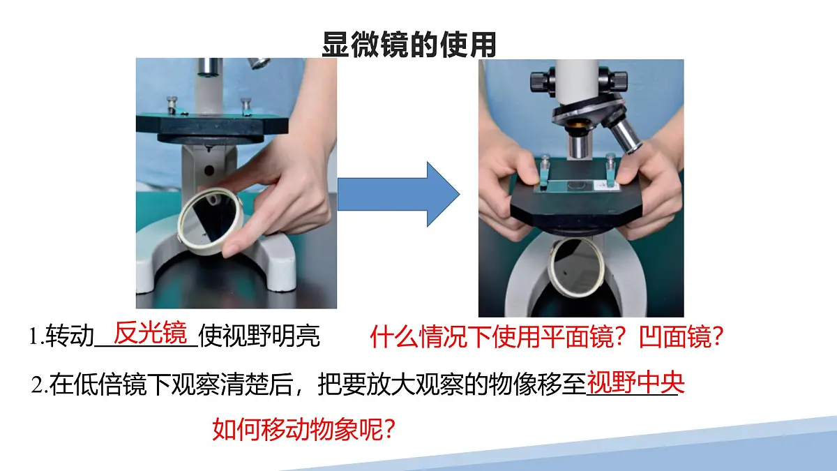 人教版高中生物必修1 1-2《 细胞的多样性和统一性 》课件第7页