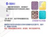 人教版高中生物必修1 1-2《 细胞的多样性和统一性 》课件
