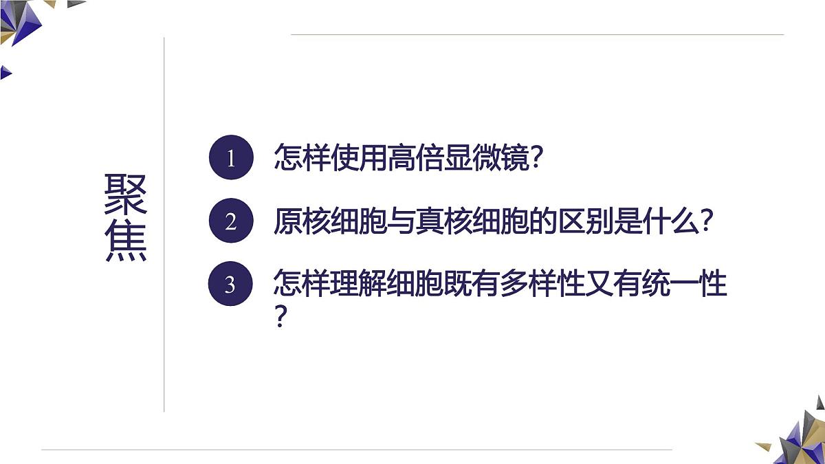 人教版高中生物必修1 1-2《 细胞的多样性和统一性》课件第3页