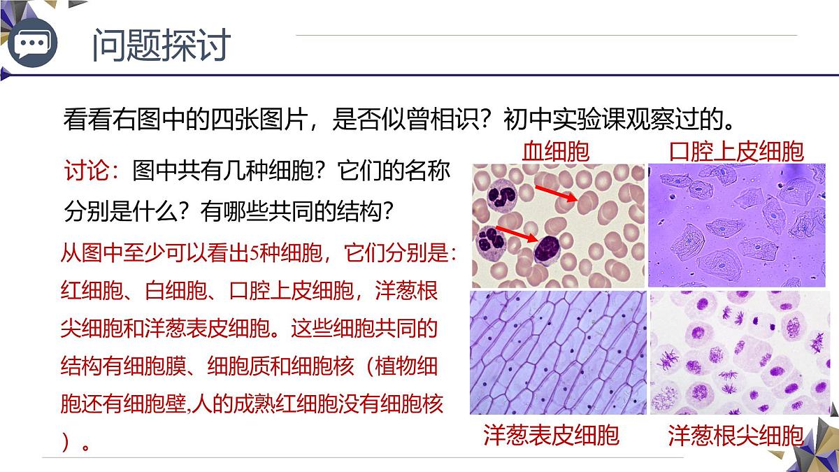 人教版高中生物必修1 1-2《 细胞的多样性和统一性》课件第4页