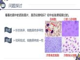 人教版高中生物必修1 1-2《 细胞的多样性和统一性》课件
