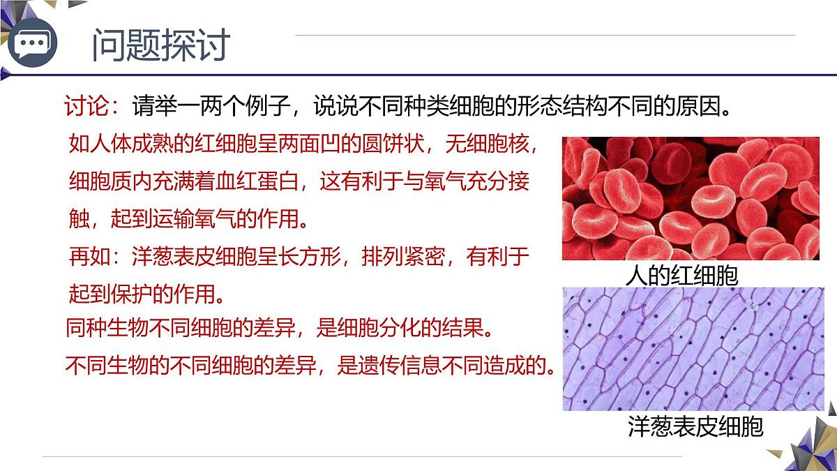 人教版高中生物必修1 1-2《 细胞的多样性和统一性》课件第6页