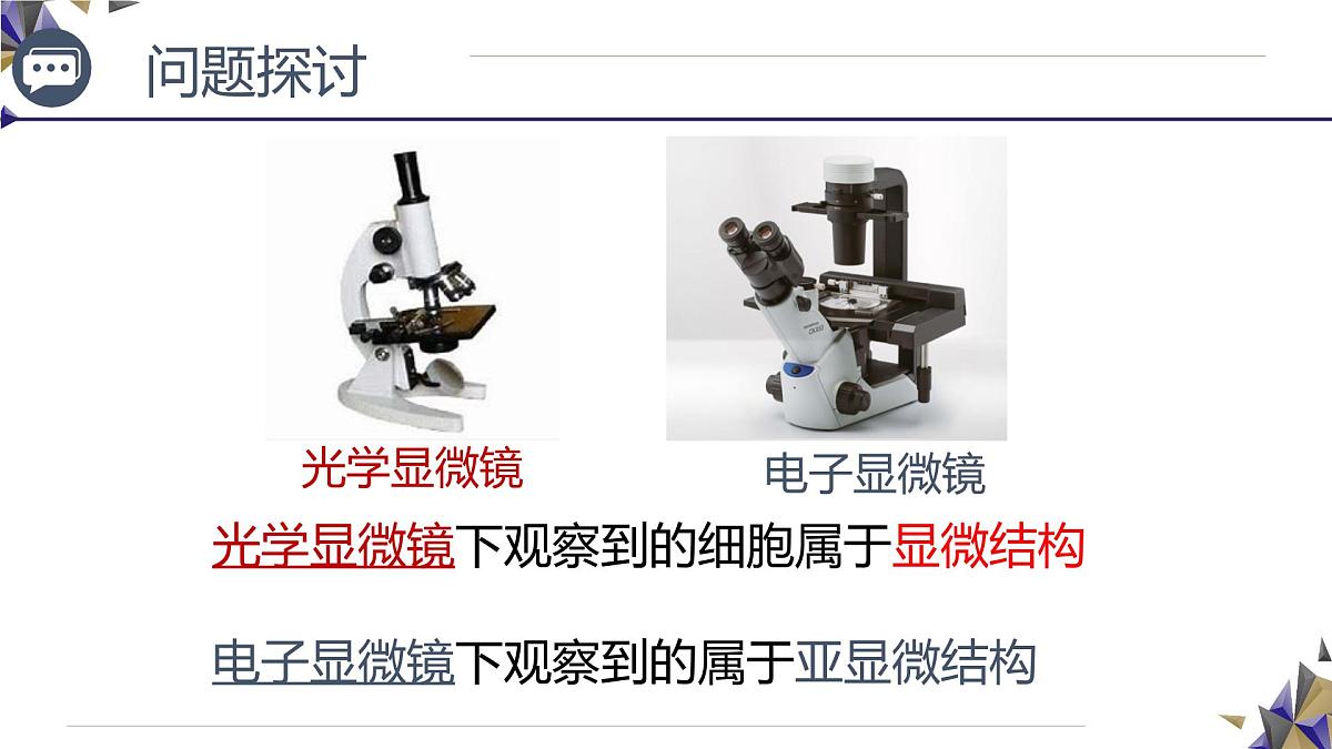 人教版高中生物必修1 1-2《 细胞的多样性和统一性》课件第7页