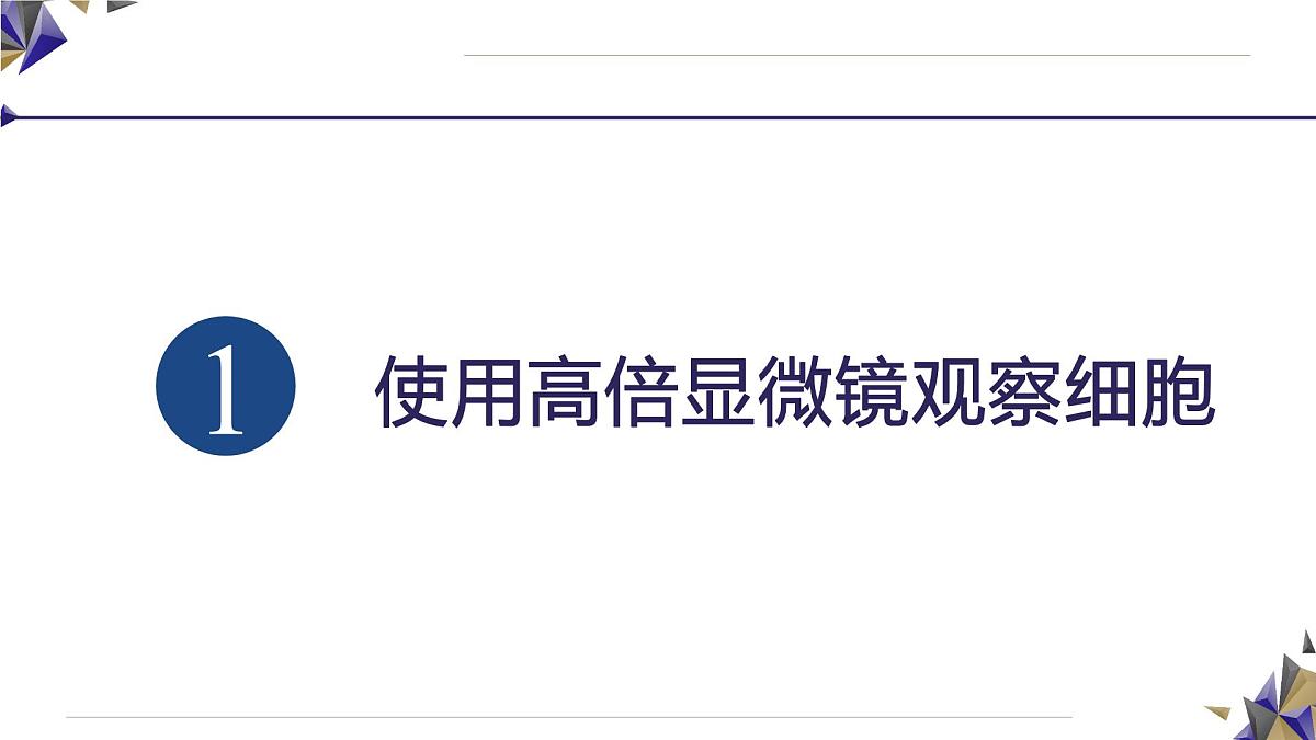 人教版高中生物必修1 1-2《 细胞的多样性和统一性》课件第8页