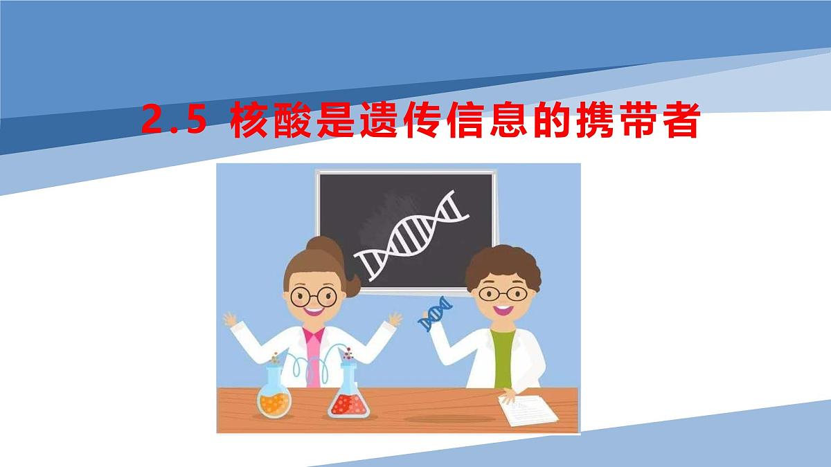 人教版高中生物必修1 2-5《 核酸是遗传信息的携带者 》课件第1页