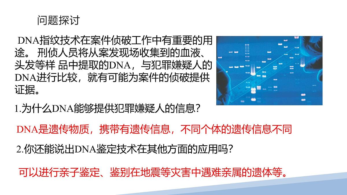 人教版高中生物必修1 2-5《 核酸是遗传信息的携带者 》课件第2页