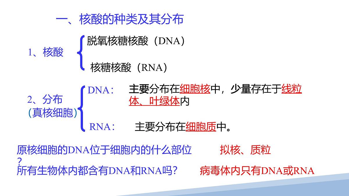 人教版高中生物必修1 2-5《 核酸是遗传信息的携带者 》课件第3页