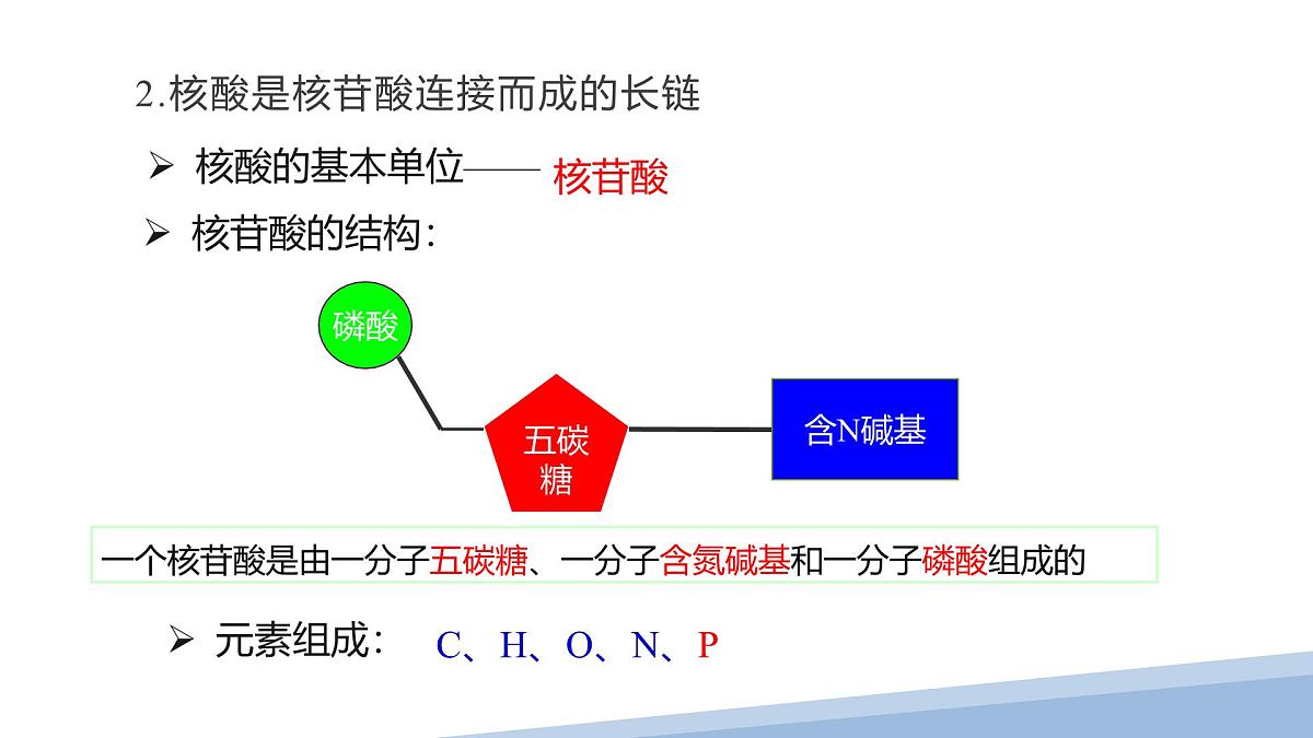 人教版高中生物必修1 2-5《 核酸是遗传信息的携带者 》课件第4页