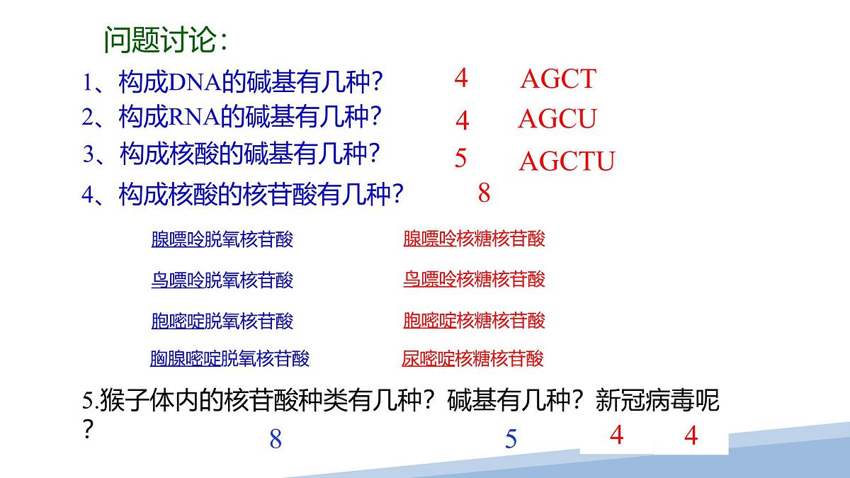 人教版高中生物必修1 2-5《 核酸是遗传信息的携带者 》课件第8页