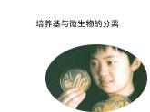 人教版 (新課標(biāo))高中生物選修1 2-1《培養(yǎng)基與微生物的分離》專題講解復(fù)習(xí)課件