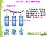 人教版 (新課標(biāo))高中生物選修3 1-1.2《基因工程的基本操作程序》課件