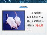 人教版 (新課標(biāo))高中生物選修3 1-1.2《基因工程的基本操作程序》課件