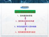 人教版 (新課標(biāo))高中生物選修3 1-1.2《基因工程的基本操作程序》課件
