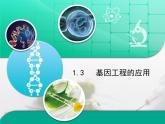 人教版 (新課標(biāo))高中生物選修3 1-1.3《基因工程的應(yīng)用》復(fù)習(xí)課件