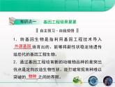 人教版 (新課標(biāo))高中生物選修3 1-1.3《基因工程的應(yīng)用》復(fù)習(xí)課件